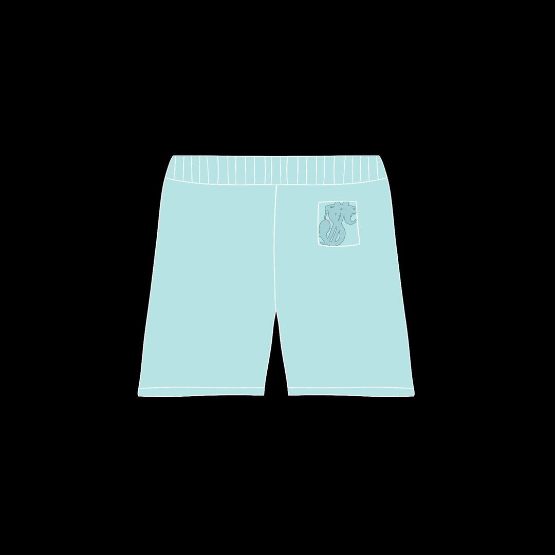 BLUE SHORTS